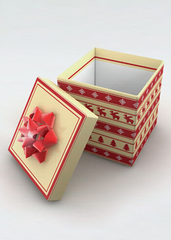 Digital Printing Packaging Box